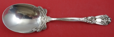 Preserve Spoon 8